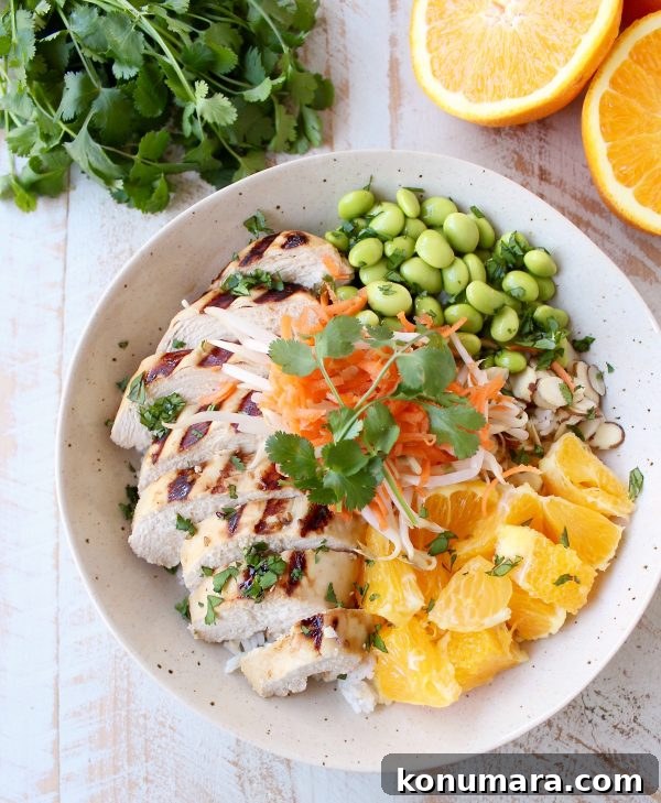 Flavorful Asian Chicken Rice Bowls for Quick Weeknight Meals 5 Close-up of Healthy Asian Chicken Rice Bowl with oranges and almonds