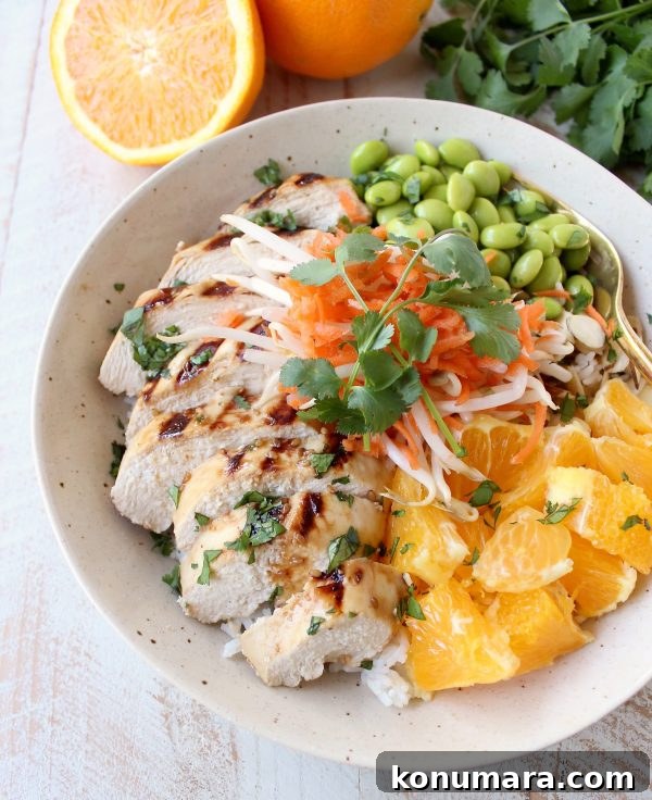 Flavorful Asian Chicken Rice Bowls for Quick Weeknight Meals 6 Finished Healthy Asian Chicken Rice Bowl ready to eat