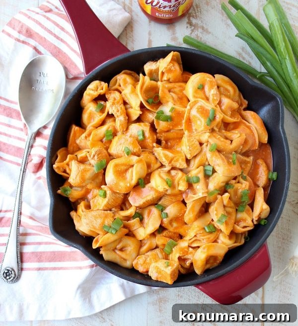 One-Pot Creamy Buffalo Chicken Tortellini 4 One pot dinner: buffalo chicken and cheese tortellini with melted cheddar on top.