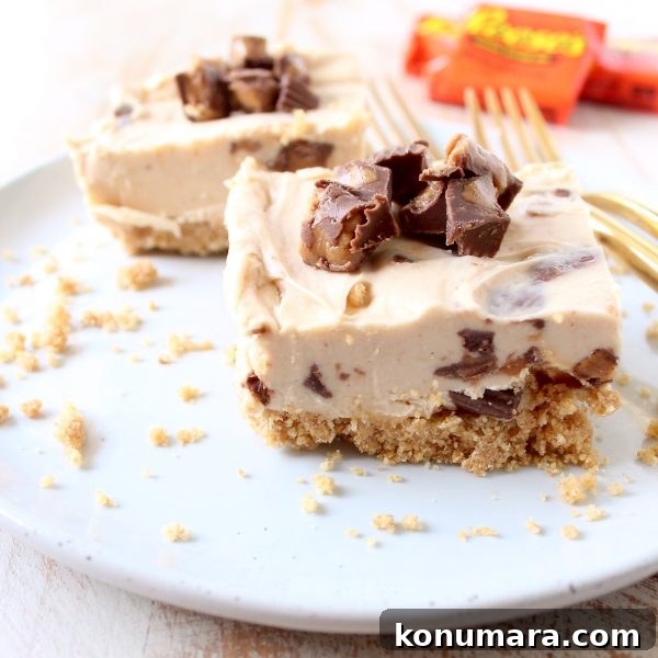 No-Bake Reese's Peanut Butter Cup Cheesecake Bars 8 No bake cheesecake bars are a deliciously easy dessert, made with Reese's Peanut Butter Cups, they're filled with chocolate, peanut butter goodness!