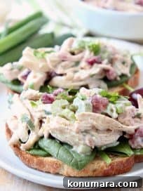 Cherry Tarragon Chicken Salad Sandwich
