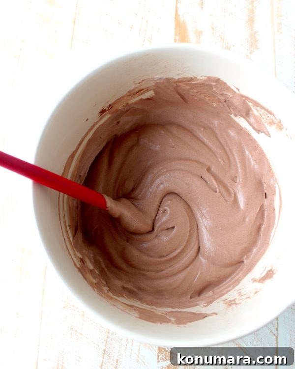 Creamy No Churn Chocolate Ice Cream Recipe 8 Homemade Chocolate Ice Cream is so easy to make without an ice cream maker! This no churn recipe only requires a couple of steps & a couple of ingredients!