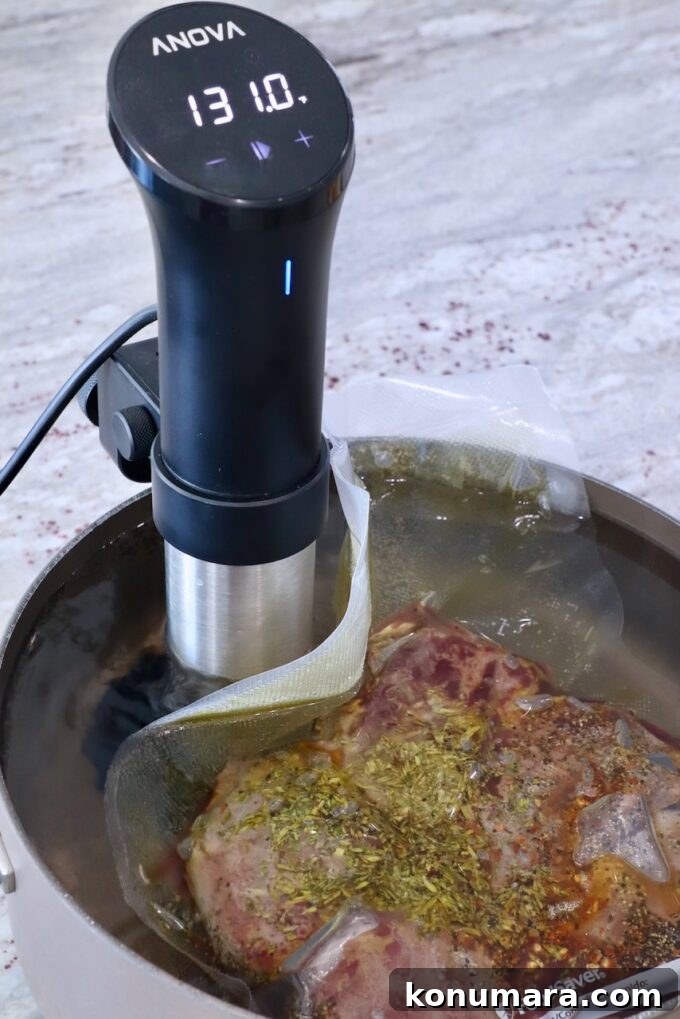 Seared Steak Crostini Recipe with Garlic Herb Butter 7 cooked steaks vacuum sealed in a bag in a large pot of water with a sous vide attached