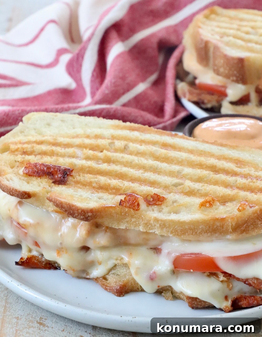 Grilled Chicken Panini Recipe with Melty Mozzarella 2 chicken panini sandwich on plate