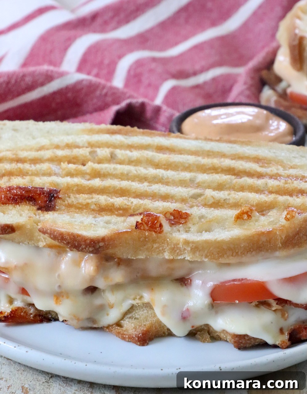 Grilled Chicken Panini Recipe with Melty Mozzarella 10 chicken panini sandwich on plate