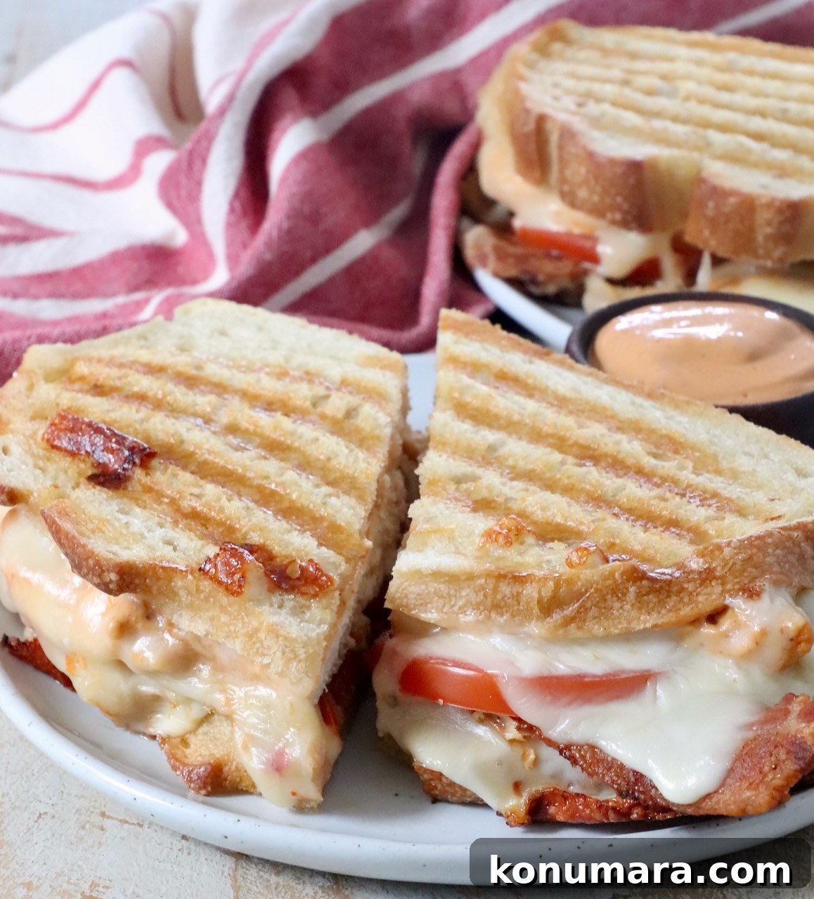 Grilled Chicken Panini Recipe with Melty Mozzarella 11 chicken panini sliced in half on plate