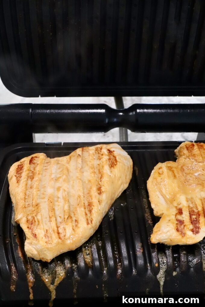Grilled Chicken Panini Recipe with Melty Mozzarella 5 grilled chicken breasts in an indoor grill