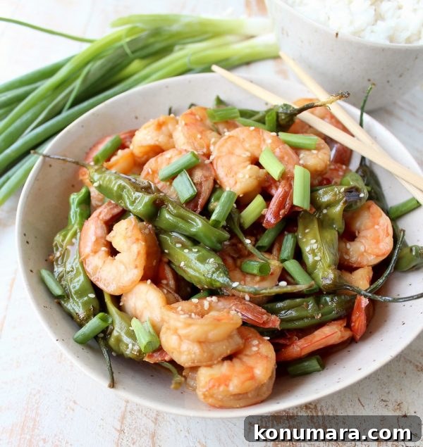 Shishito Shrimp Stir Fry close-up