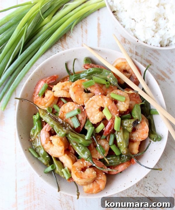 Plated Shishito Shrimp Stir Fry