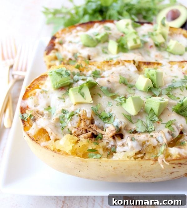 roasted spaghetti squash on plate filled with chicken, cheese and diced avocado