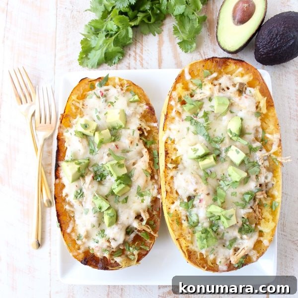 overhead image of two halves of a roasted stuffed spaghetti squash on white plate