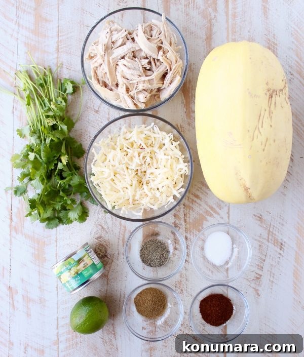 ingredient for green chili chicken stuffed spaghetti squash
