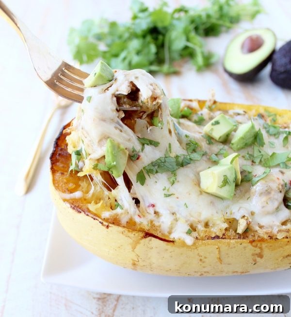 fork pulling melted cheese covered chicken out of stuffed spaghetti squash