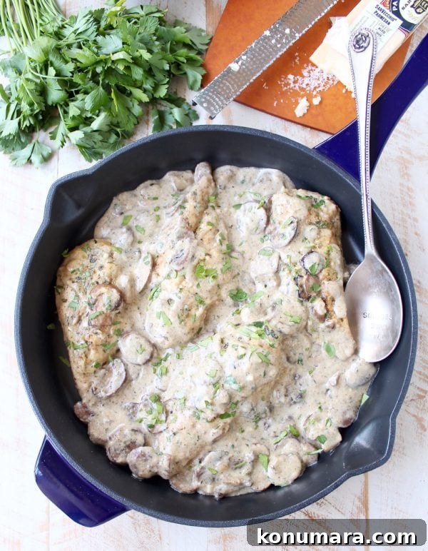 Creamy Mushroom Chicken Parmesan Recipe 2 Creamy mushroom sauce over chicken parmesan