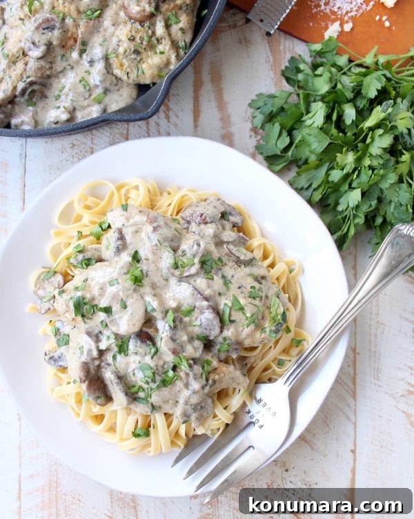 Creamy Mushroom Chicken Parmesan Recipe 3 Close up of creamy mushroom chicken parmesan