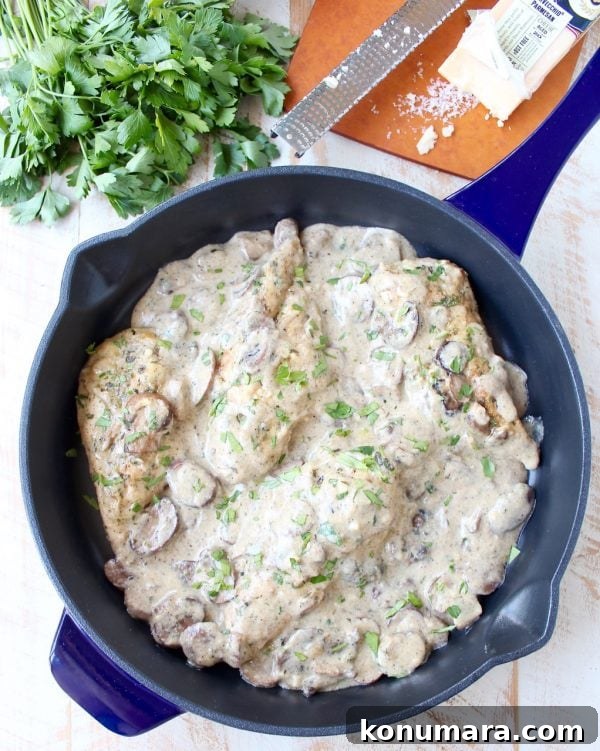 Creamy Mushroom Chicken Parmesan Recipe 4 Creamy mushroom sauce with parmesan