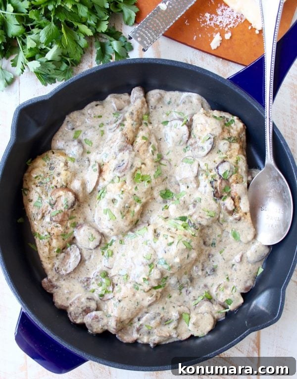 Creamy Mushroom Chicken Parmesan Recipe 6 Baked creamy mushroom chicken parmesan ready to serve