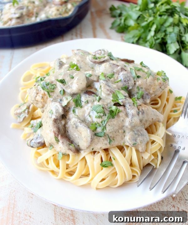 Creamy Mushroom Chicken Parmesan Recipe 8 Creamy mushroom chicken parmesan close up