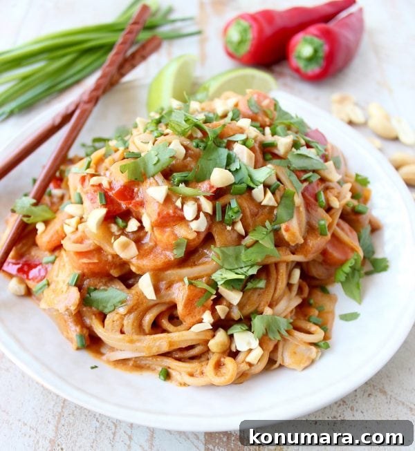 Creamy Slow Cooker Thai Peanut Chicken Noodles 5 Thai Peanut Chicken Noodles close-up