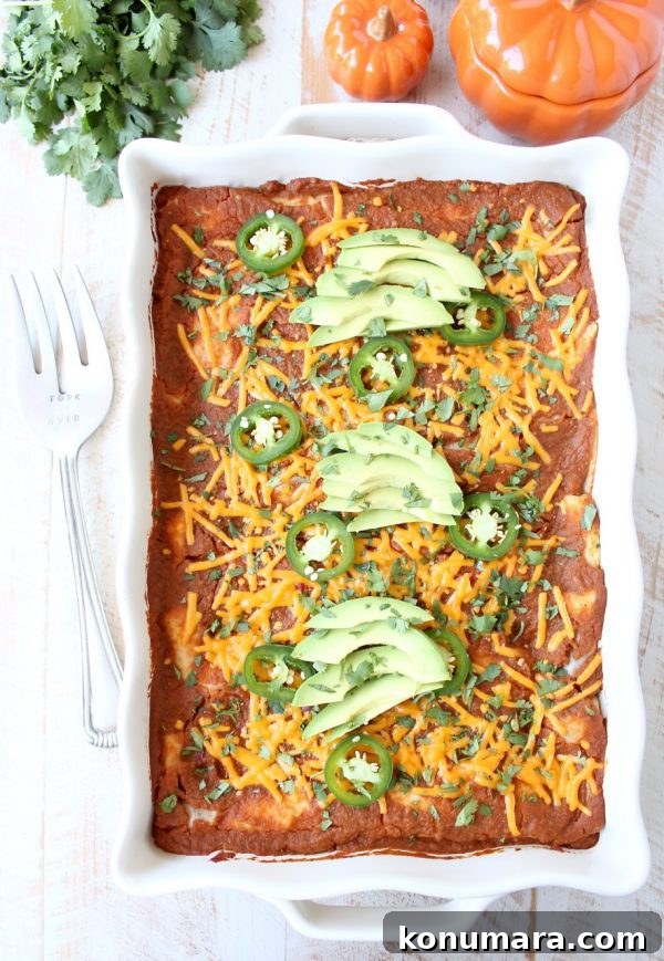 Pumpkin enchiladas with red pumpkin sauce and cheese