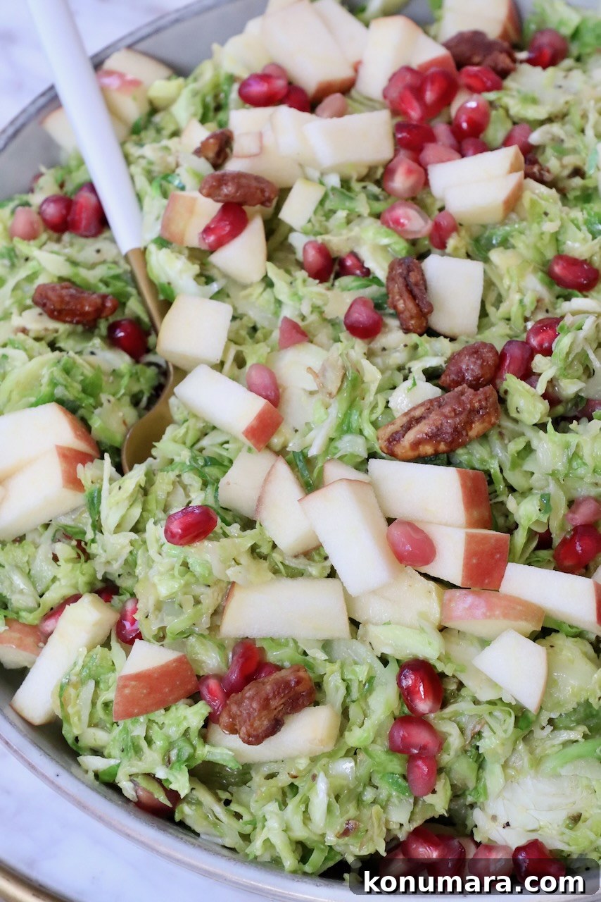 brussels sprout salad in a bowl topped with pomegranate seeds and apples