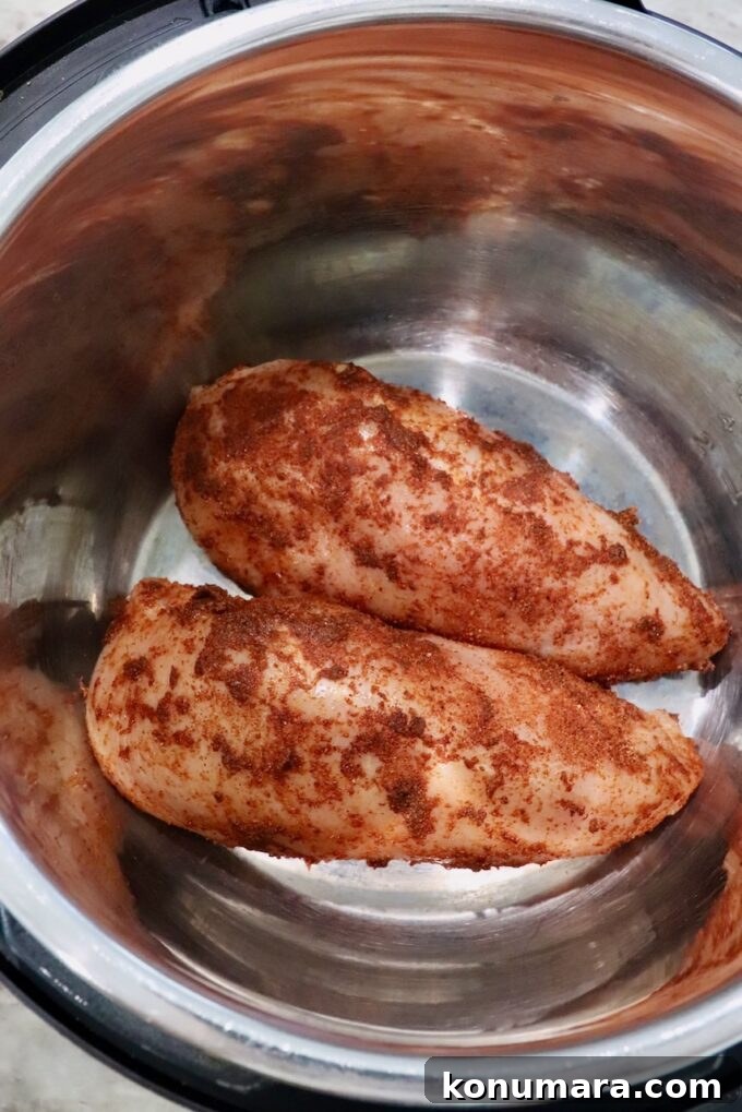 seasoned chicken breasts in an Instant Pot
