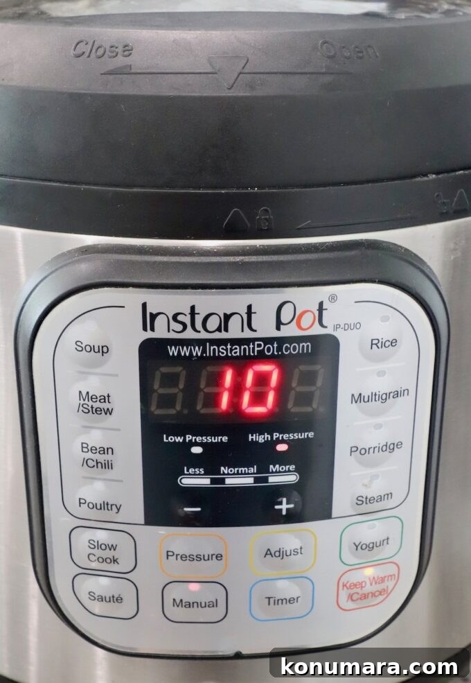 Instant Pot with 10 minutes on the timer