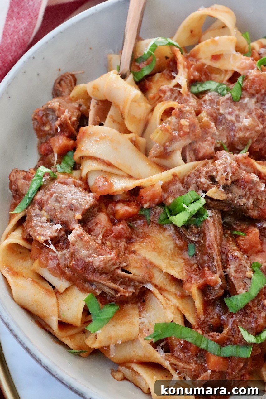 Instant Pot Beef Ragu with Tomato and Red Wine 11 pasta and beef ragu sauce in a bowl with a fork