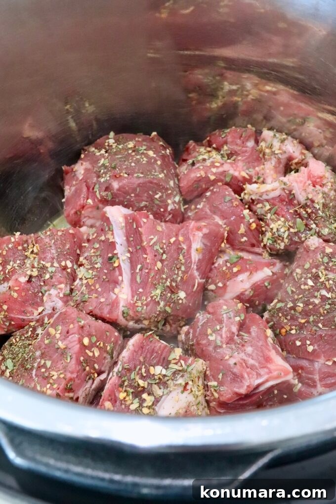 Instant Pot Beef Ragu with Tomato and Red Wine 4 seasoned chunks of beef chuck roast in an Instant Pot