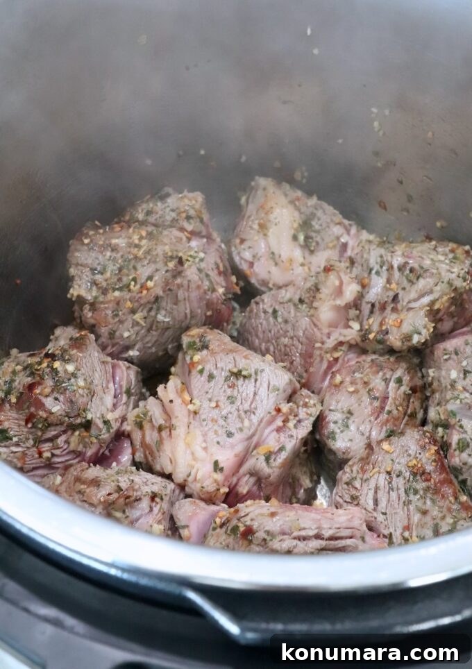 Instant Pot Beef Ragu with Tomato and Red Wine 5 seared chunks of beef chuck roast in an Instant Pot