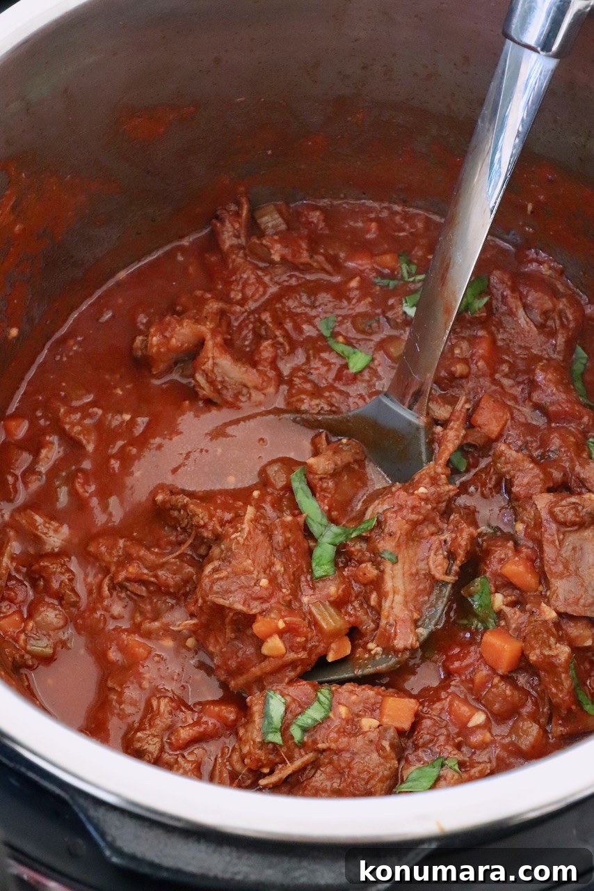Instant Pot Beef Ragu with Tomato and Red Wine 10 shredded beef ragu sauce in an Instant Pot with a serving spoon