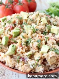 Taco Chicken and Rice