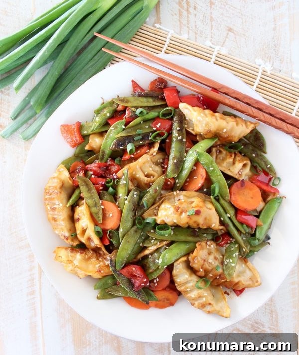 Crispy Chicken Potsticker Stir-Fry Recipe 2 Chicken Potsticker Stir Fry with fresh veggies and a savory sauce