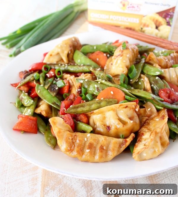 Crispy Chicken Potsticker Stir-Fry Recipe 5 Finished Chicken Potsticker Stir Fry ready to serve