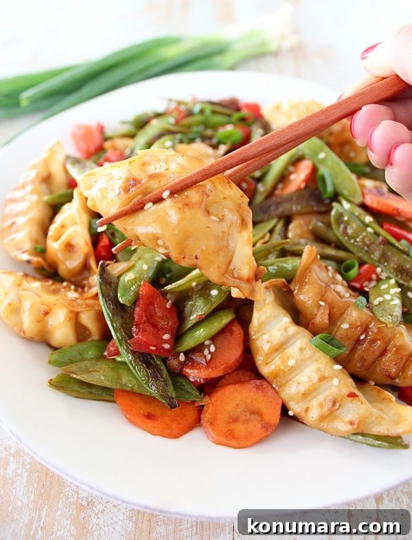 Crispy Chicken Potsticker Stir-Fry Recipe 7 A close up of Chicken Potsticker Stir Fry