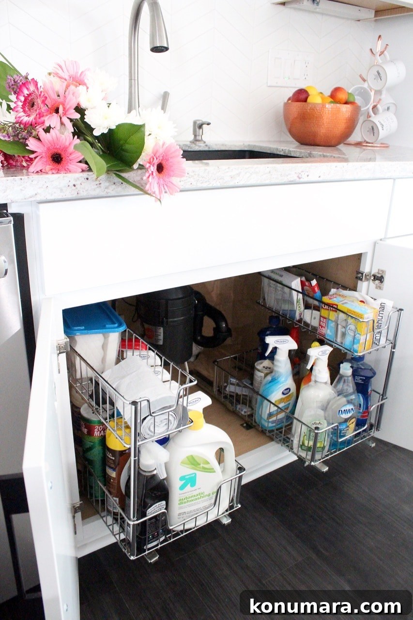 Under sink pull out wire racks for cleaning supplies