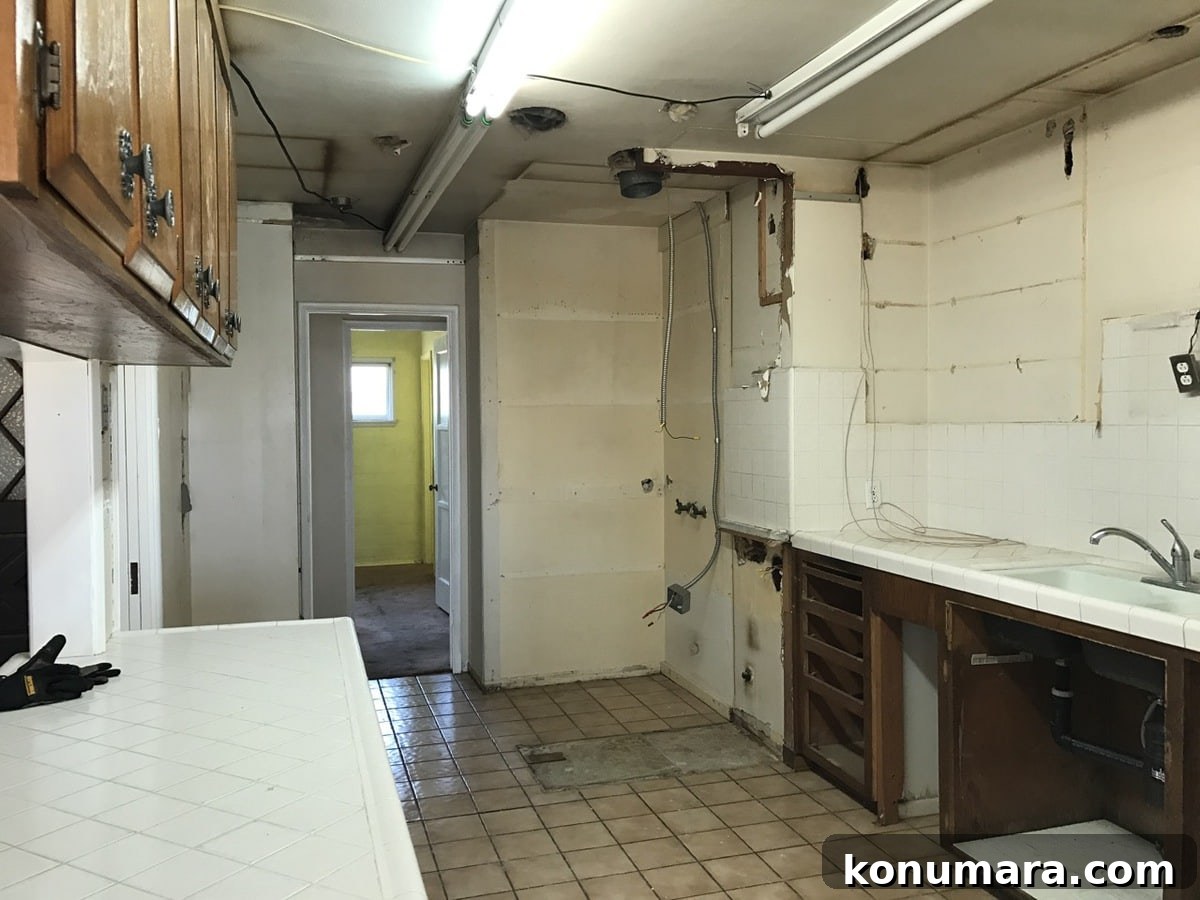 Demo of Kitchen cabinets
