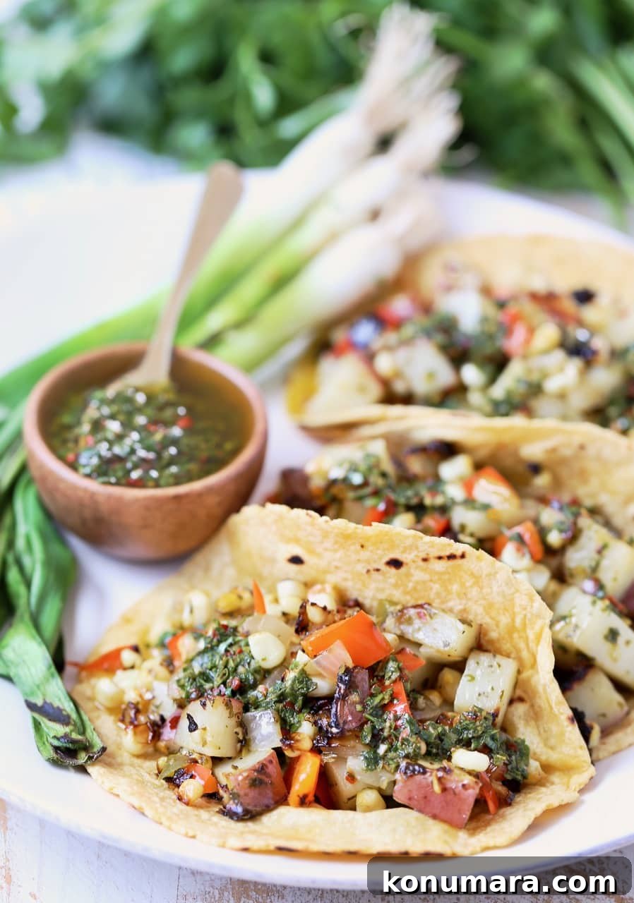 Vegan Grilled Veggie Tacos with Chimichurri 2 Vegan Tacos filled with Grilled Potatoes, Peppers Corn and Chimichurri Sauce on a plate