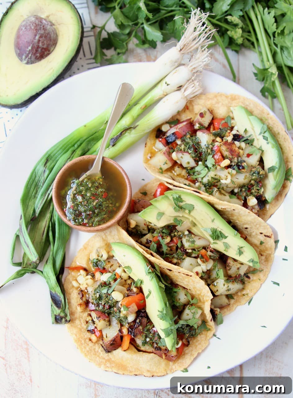 Vegan Grilled Veggie Tacos with Chimichurri 3 Vegan Tacos on Corn Tortillas with Grilled Vegetables, Grilled Green Onions, Avocado and Chimichurri Sauce