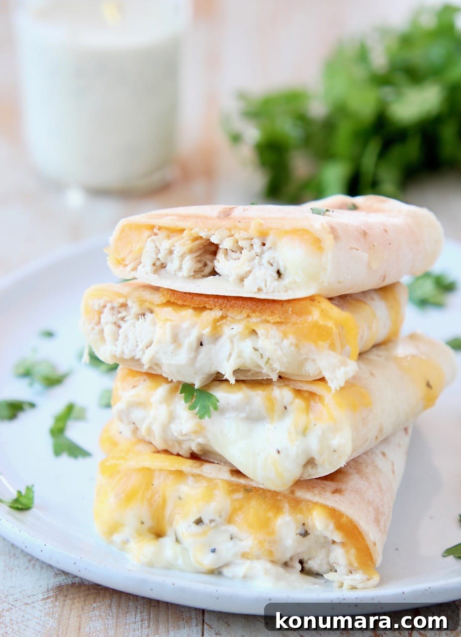 Gluten Free Chicken Ranch Wraps Recipe 4 Gluten Free Cheesy Chicken Ranch Wraps with Cilantro and Ranch Dressing in Mason Jar
