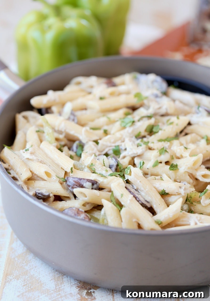 French Onion Chicken Pasta in Skillet