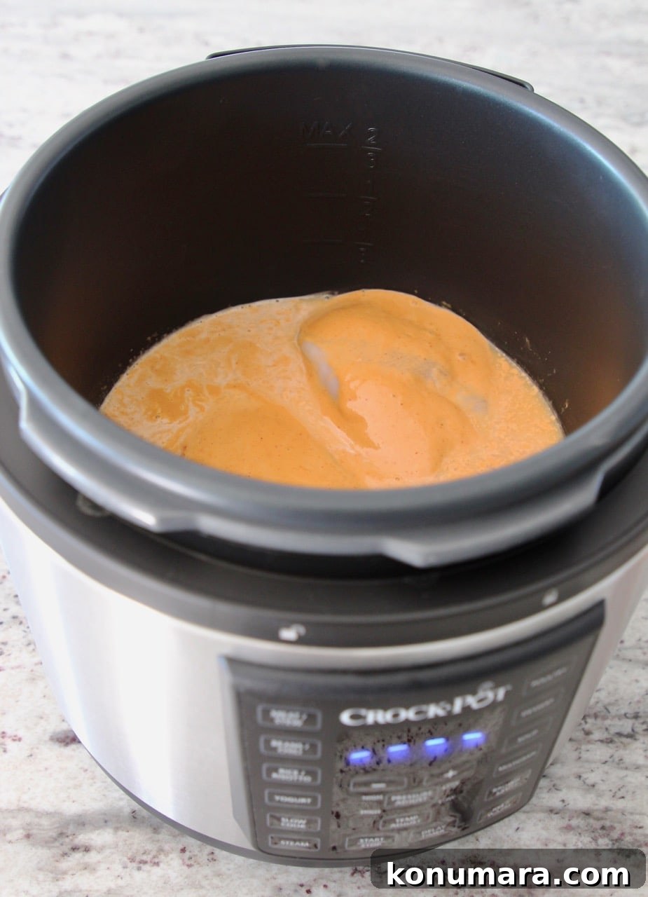 Chicken breasts and peanut sauce in the crock pot express crock multi cooker