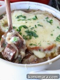 French Onion Beef Stew