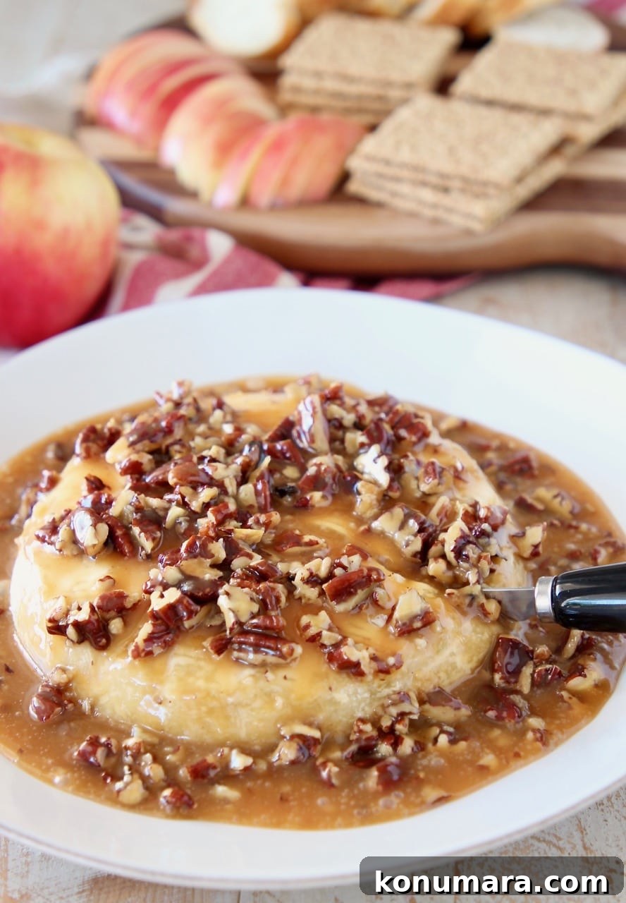 Salted Caramel Pecan Baked Brie Recipe 4 Salted caramel and pecans poured over a baked brie round on a baking sheet with a black cheese spreader slicing into the baked brie