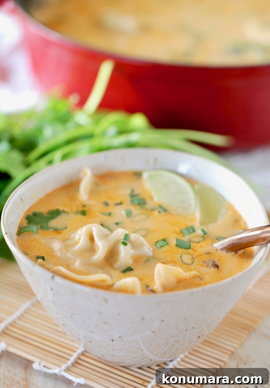 Thai coconut soup with potstickers in bowl, with red pot in background and fresh cilantro
