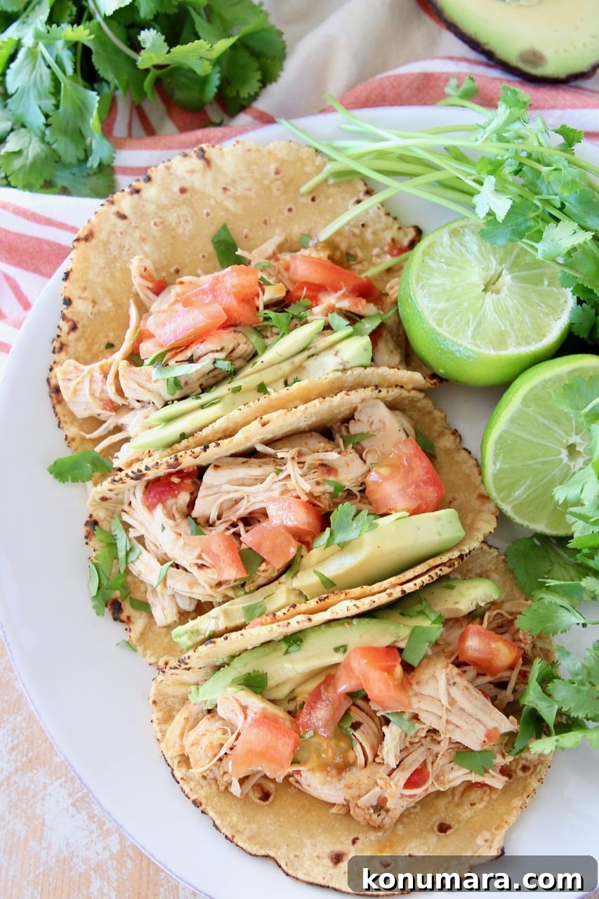 Instant Pot Shredded Chicken Tacos 2 Overhead shot of shredded chicken tacos in corn tortillas on white plate with cilantro and limes