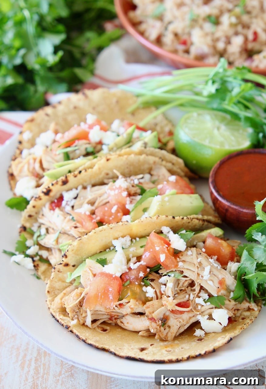 Instant Pot Shredded Chicken Tacos 3 Shredded chicken tacos on corn tortillas with hot sauce and cilantro