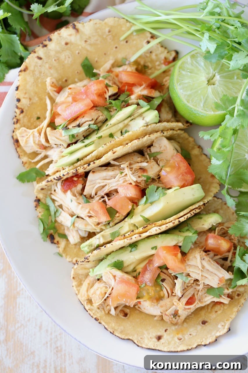 Instant Pot Shredded Chicken Tacos 5 Shredded pressure cooker chicken tacos in corn tortillas on white plate with cilantro and lime