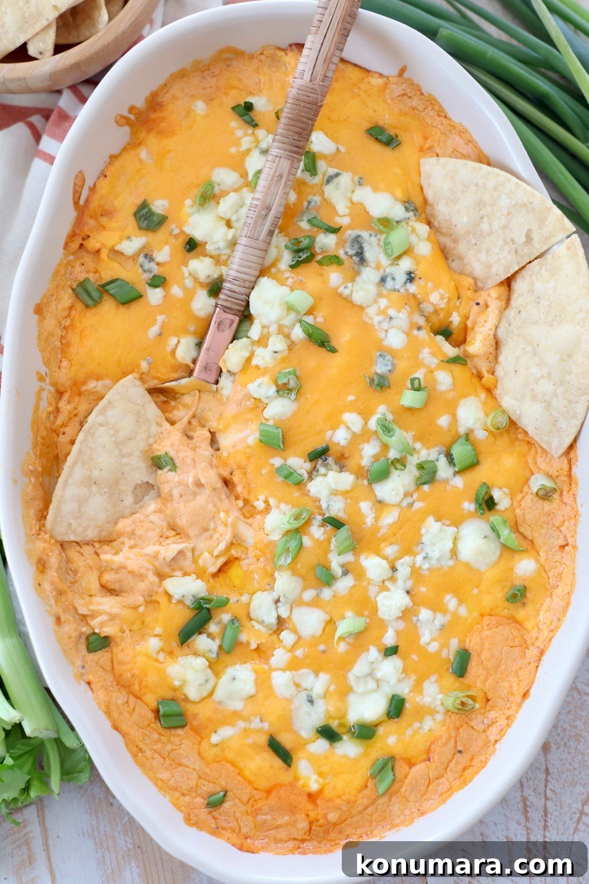 buffalo chicken dip in oval baking dish with tortilla chips