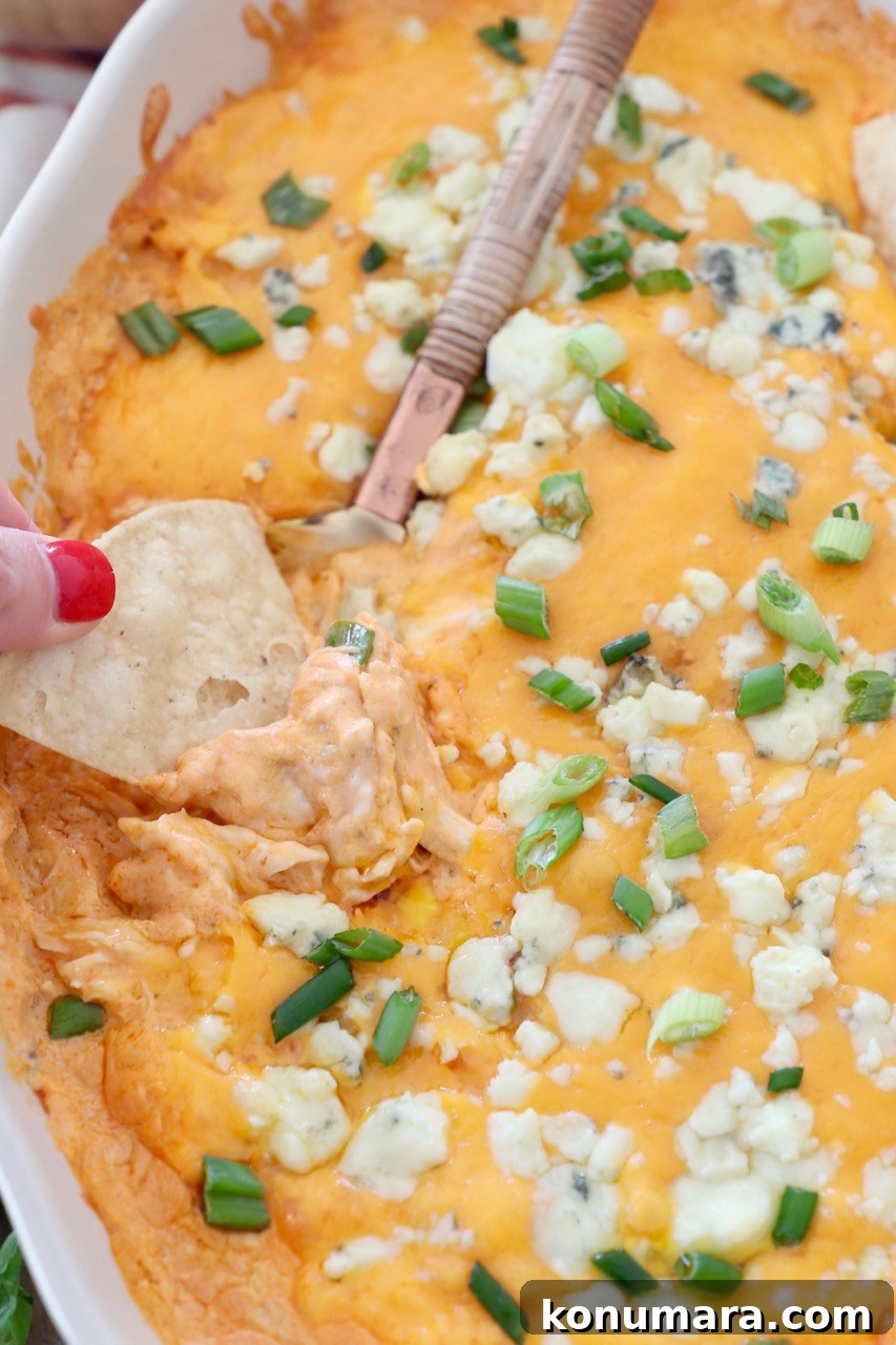 hand dipping tortilla chip into buffalo chicken dip